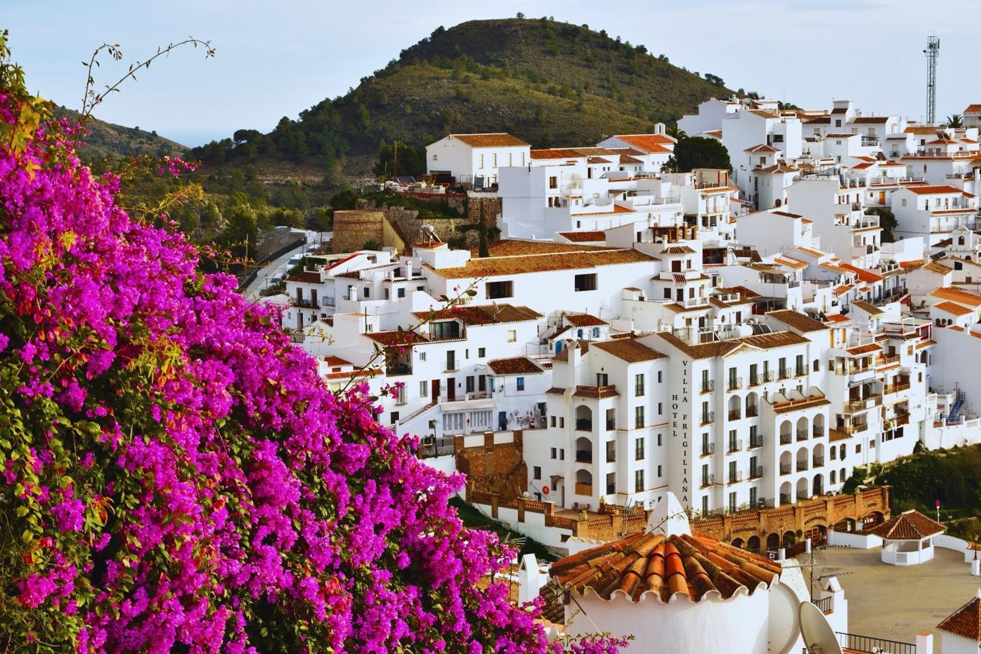 Hotel Villa Фрихилиана Экстерьер фото